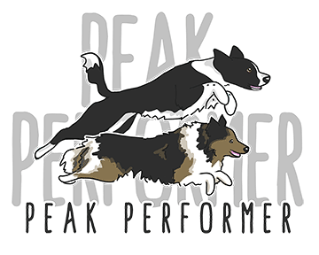 Peak Performer | Nadine Alshut