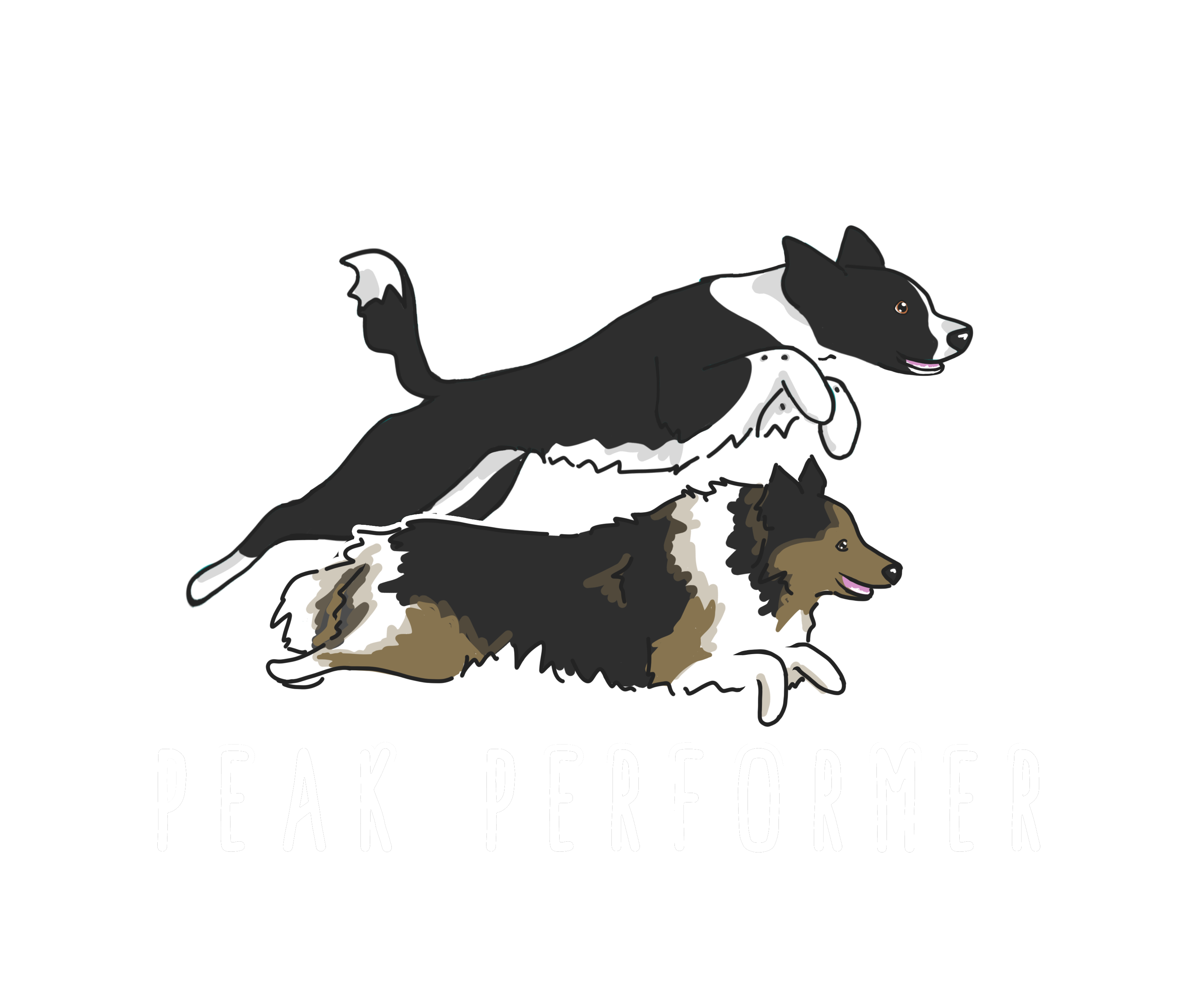 Logo von Peak Performer